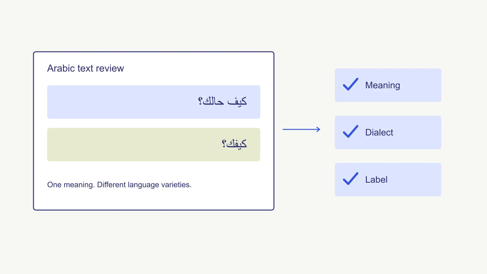 Arabic text examples compared across language varieties, with separate review checks for meaning, dialect and labels.